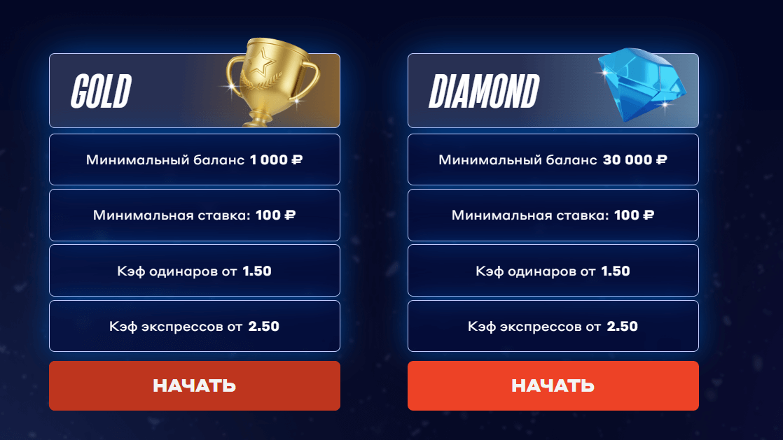 Настоящая новогодняя акция в Бетсити